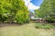 Photo - 1916 Adelong Road, Tumblong NSW 2729 - Image 16