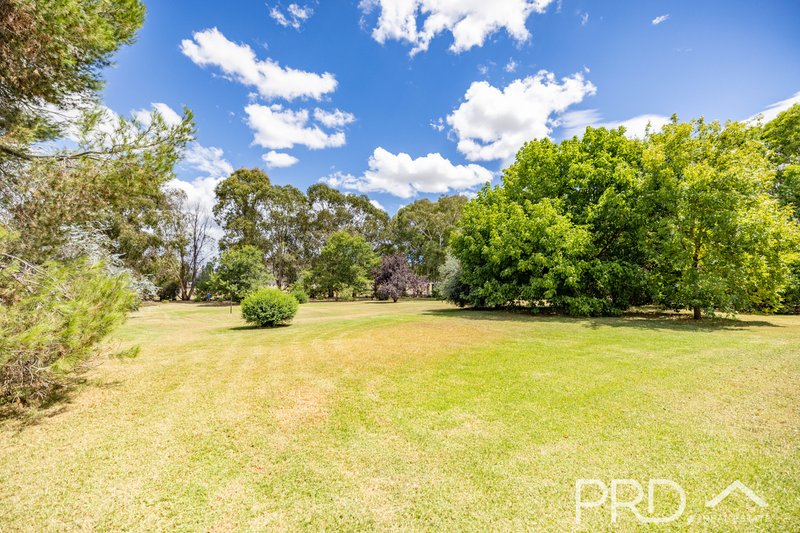 Photo - 1916 Adelong Road, Tumblong NSW 2729 - Image 17