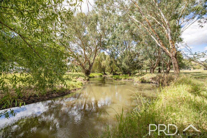 Photo - 1916 Adelong Road, Tumblong NSW 2729 - Image 18