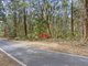 Photo - 1916 Springbrook Road, Springbrook QLD 4213 - Image 3