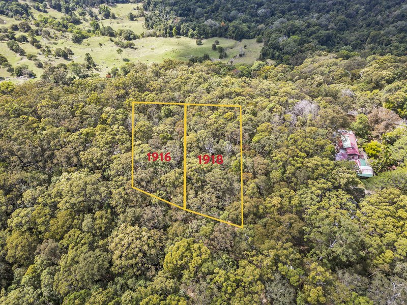 Photo - 1916 Springbrook Road, Springbrook QLD 4213 - Image 4