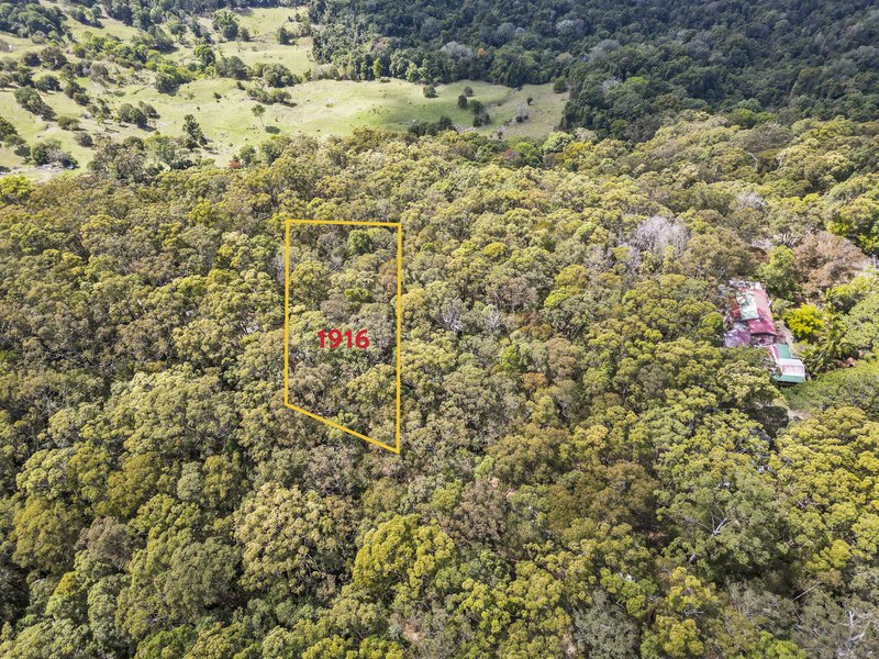 Photo - 1916 Springbrook Road, Springbrook QLD 4213 - Image 12