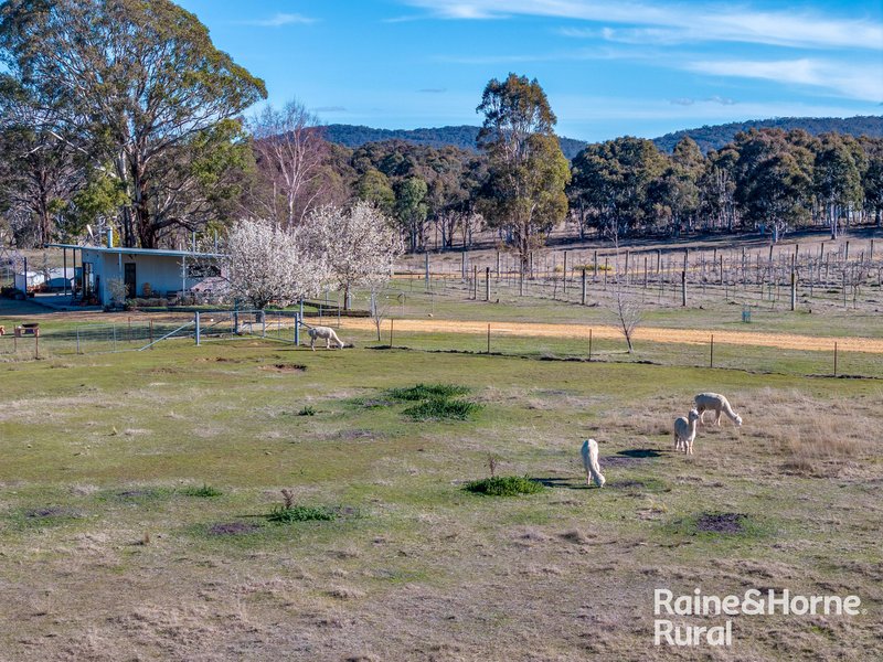 Photo - 1917 Collector Road, Collector NSW 2581 - Image 3