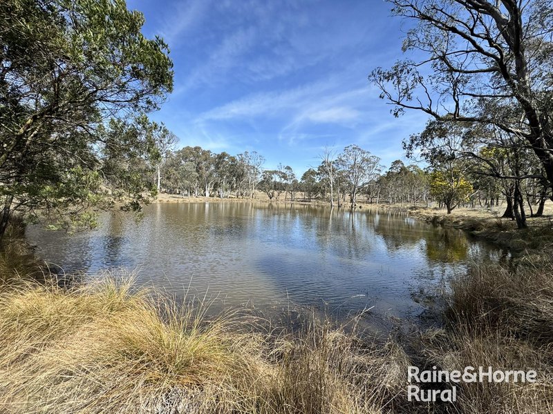Photo - 1917 Collector Road, Collector NSW 2581 - Image 24