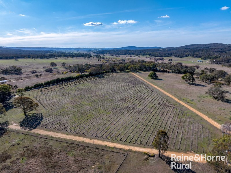 Photo - 1917 Collector Road, Collector NSW 2581 - Image 27