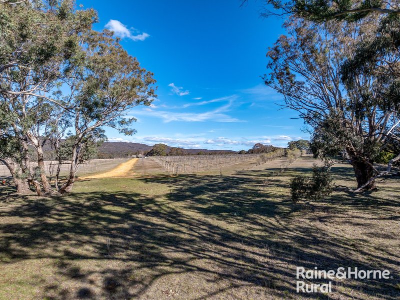 Photo - 1917 Collector Road, Collector NSW 2581 - Image 31