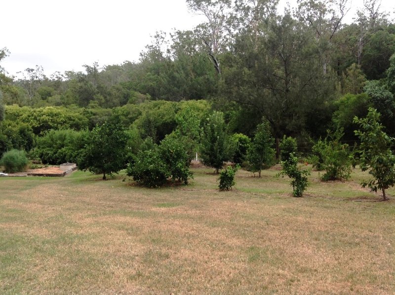 Photo - 1917 Flagstone Creek Road, Upper Flagstone QLD 4344 - Image 15