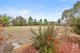 Photo - 192 Murray Street, Rutherglen VIC 3685 - Image 14