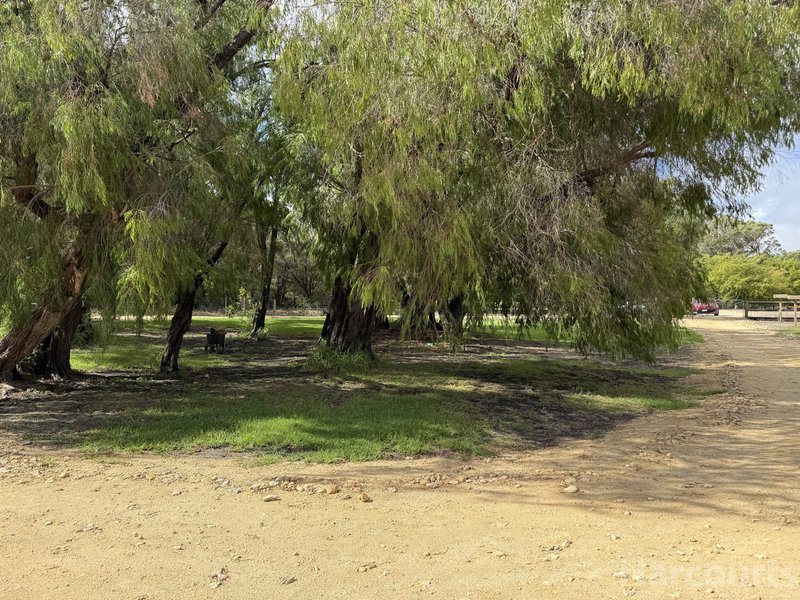Photo - 192 Newnham Road, Lake Clifton WA 6215 - Image 15