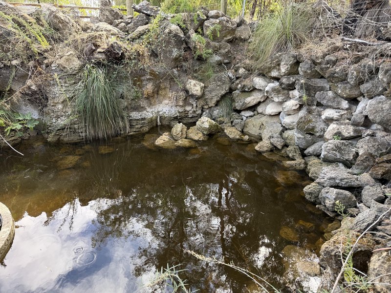 Photo - 192 Newnham Road, Lake Clifton WA 6215 - Image 25