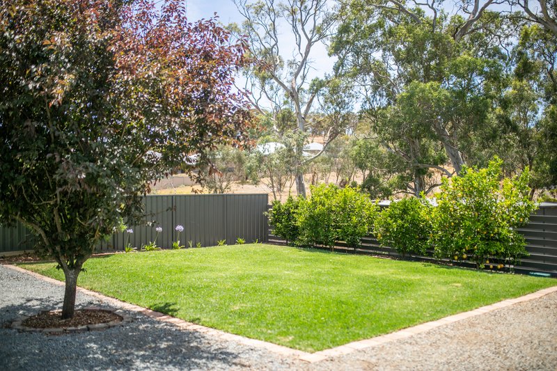 Photo - 192 Paech Road, Mount Barker SA 5251 - Image 28