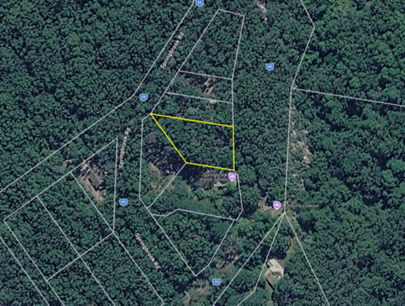 Photo - 1920 Springbrook Road, Springbrook QLD 4213 - Image 1