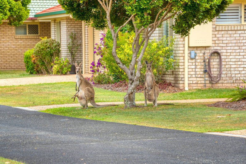 Photo - 19/210 Bestmann Road East , Sandstone Point QLD 4511 - Image 2