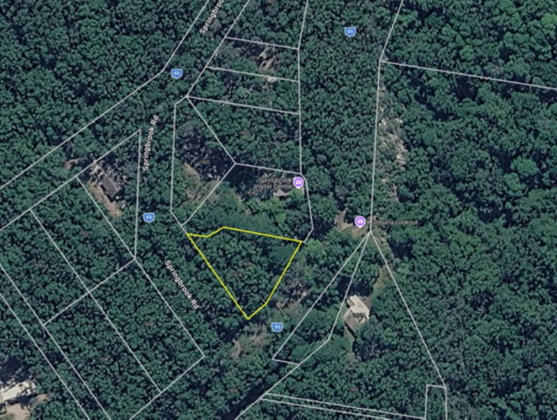 Photo - 1926 Springbrook Road, Springbrook QLD 4213 - Image 1