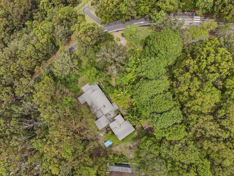 Photo - 1926 Springbrook Road, Springbrook QLD 4213 - Image 13