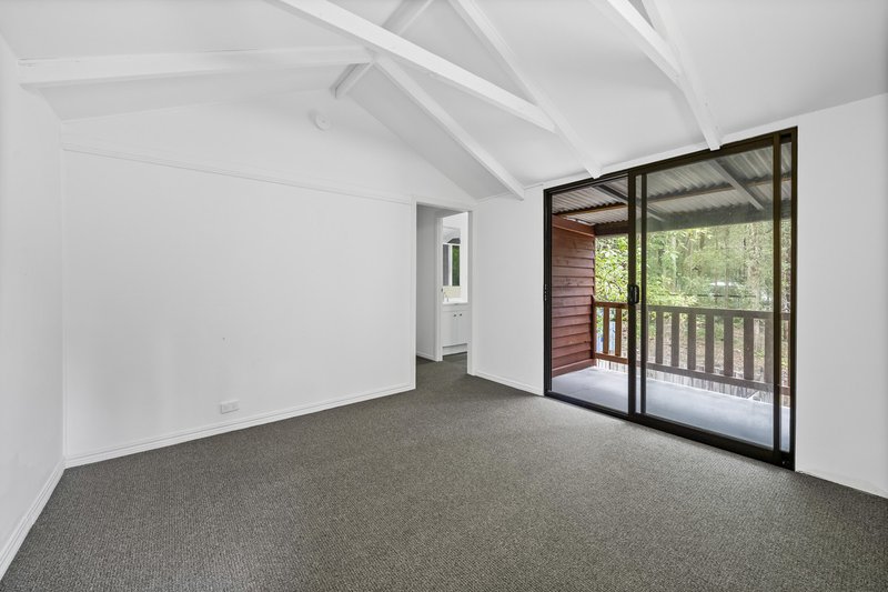 Photo - 1926 Springbrook Road, Springbrook QLD 4213 - Image 17