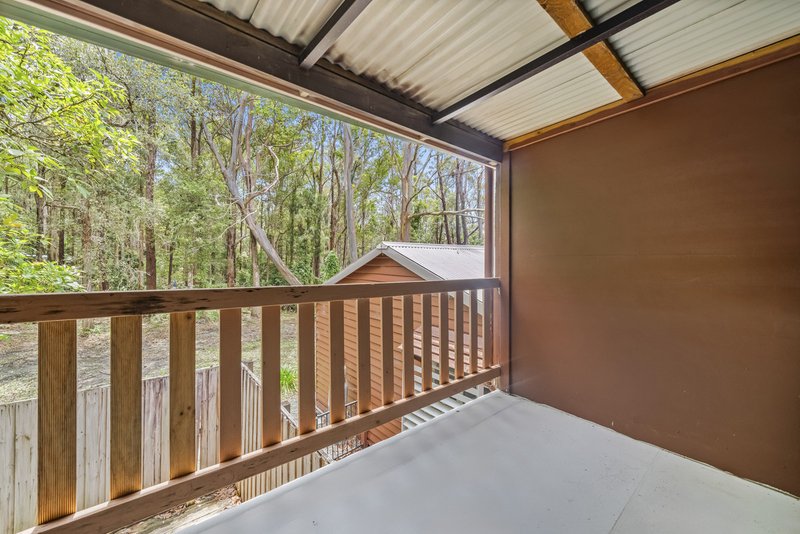 Photo - 1926 Springbrook Road, Springbrook QLD 4213 - Image 19