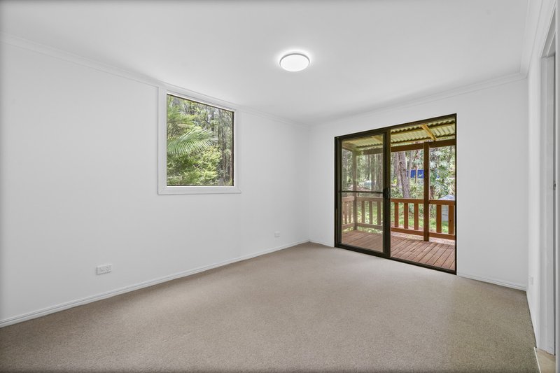 Photo - 1926 Springbrook Road, Springbrook QLD 4213 - Image 21