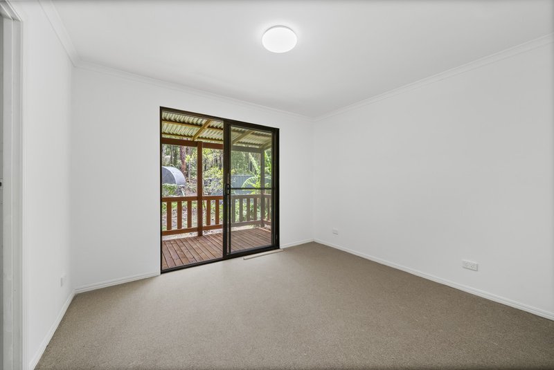 Photo - 1926 Springbrook Road, Springbrook QLD 4213 - Image 24
