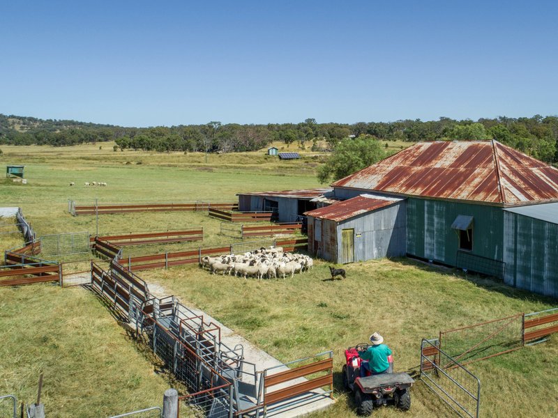 Photo - 1929 Texas Road, Stanthorpe QLD 4380 - Image 11