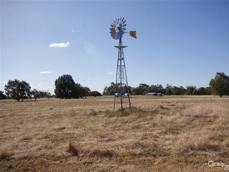 Photo - 19313 Albany Highway, Beaufort River WA 6394 - Image 2