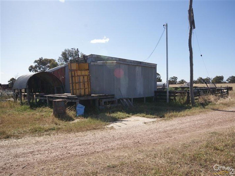 Photo - 19313 Albany Highway, Beaufort River WA 6394 - Image 9