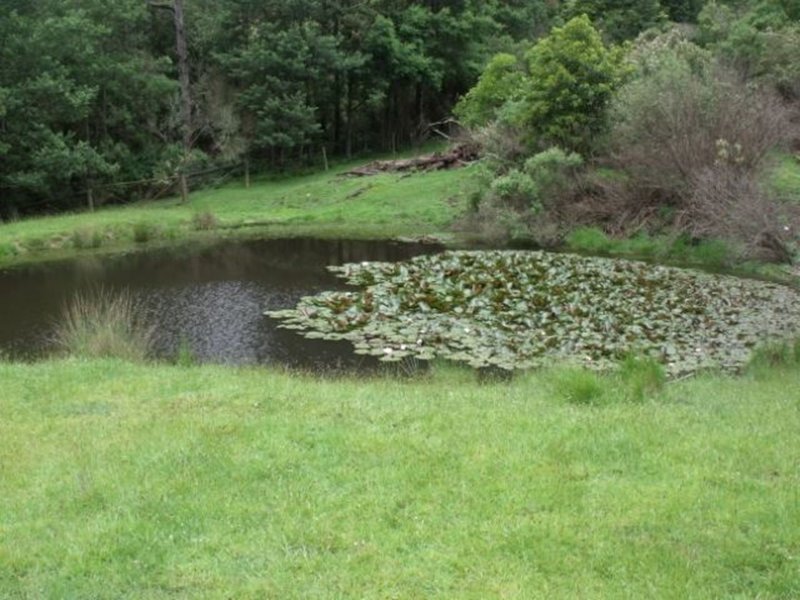 Photo - 1935 Tarra Valley Road, Tarra Valley VIC 3971 - Image 11