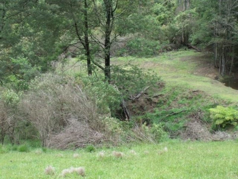 Photo - 1935 Tarra Valley Road, Tarra Valley VIC 3971 - Image 18