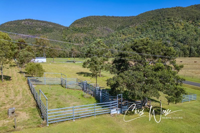 Photo - 194-244 Rasmussen Road, Neurum QLD 4514 - Image 10