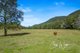 Photo - 194-244 Rasmussen Road, Neurum QLD 4514 - Image 18