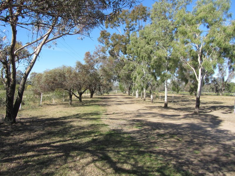 Photo - 194 Bendygleet Road, Moree NSW 2400 - Image 12