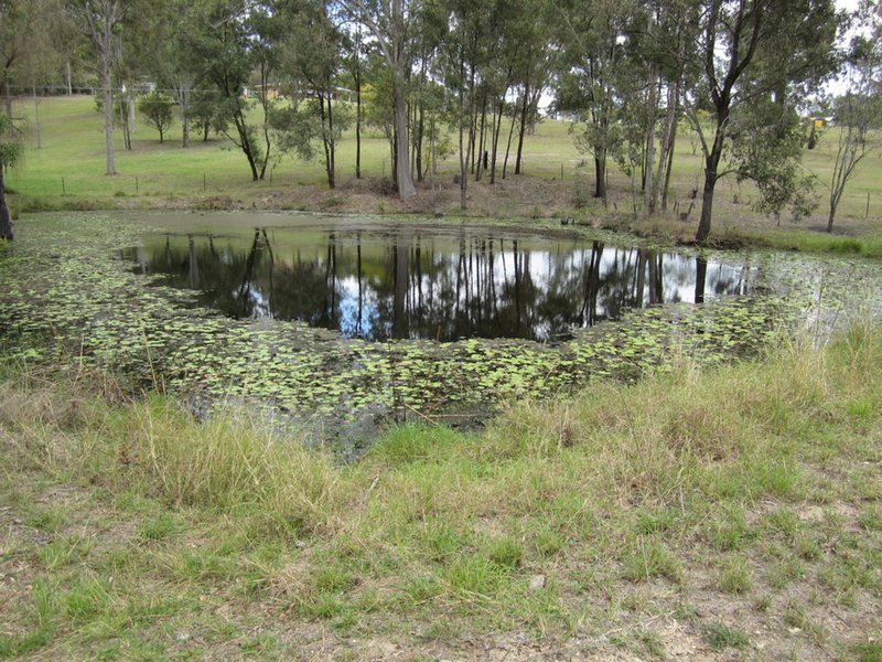 Photo - 194 Junction Road, Kerry QLD 4285 - Image 2