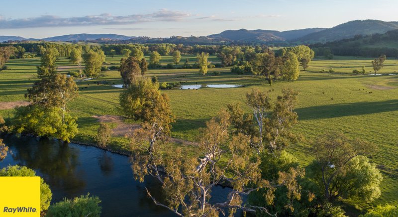 194 Quidong Rd. , Tumut NSW 2720