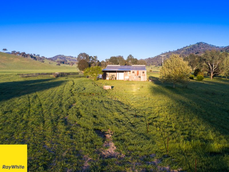 Photo - 194 Quidong Rd. , Tumut NSW 2720 - Image 13