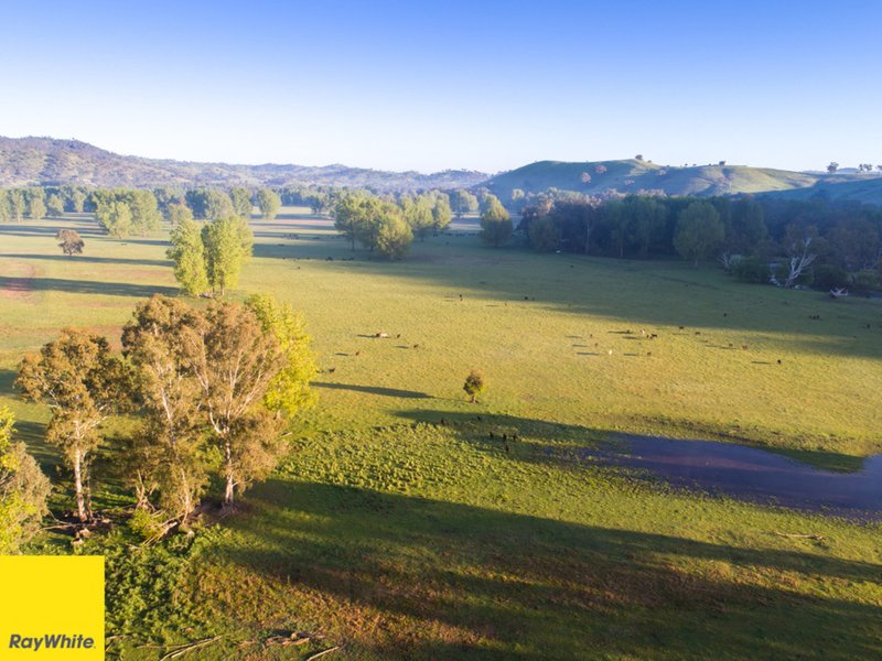 Photo - 194 Quidong Rd. , Tumut NSW 2720 - Image 15