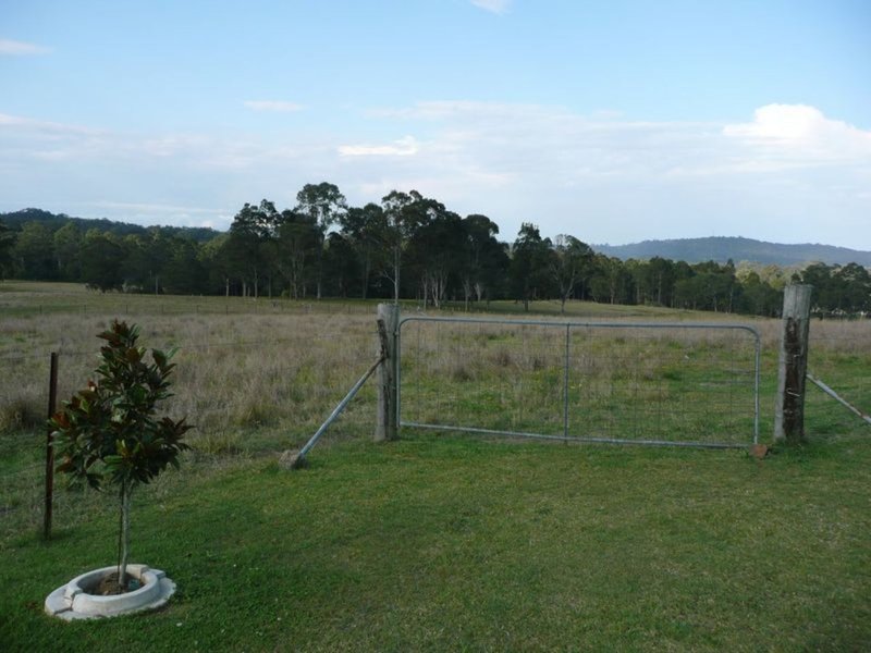 Photo - 194 Skyline Drive, Wingham NSW 2429 - Image 19