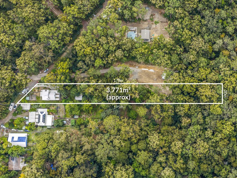 Photo - 1945 Springbrook Road, Springbrook QLD 4213 - Image 4