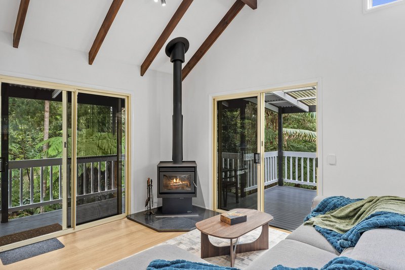 Photo - 1945 Springbrook Road, Springbrook QLD 4213 - Image 6