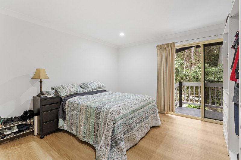 Photo - 1945 Springbrook Road, Springbrook QLD 4213 - Image 10