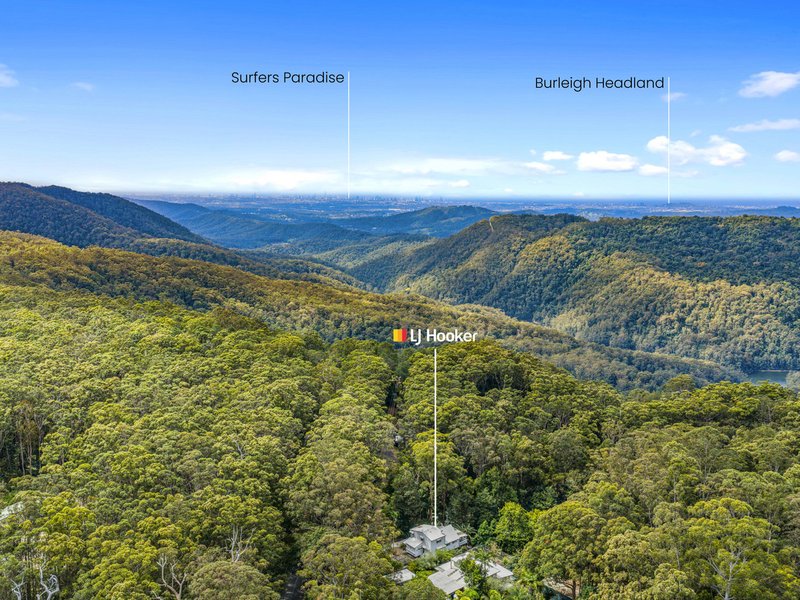 Photo - 1945 Springbrook Road, Springbrook QLD 4213 - Image 21
