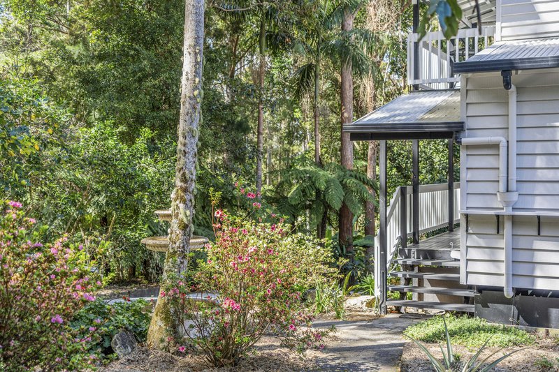 Photo - 1945 Springbrook Road, Springbrook QLD 4213 - Image 22