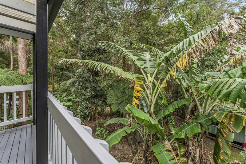 Photo - 1945 Springbrook Road, Springbrook QLD 4213 - Image 23