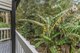 Photo - 1945 Springbrook Road, Springbrook QLD 4213 - Image 23