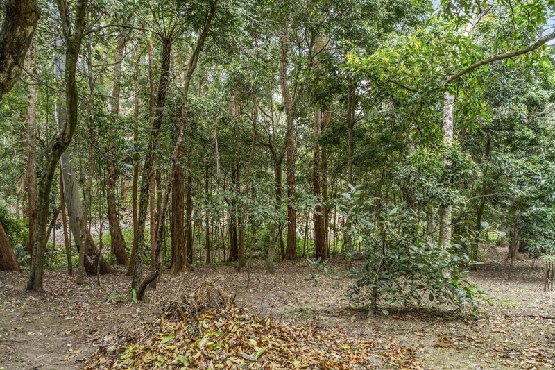 Photo - 1945 Springbrook Road, Springbrook QLD 4213 - Image 25
