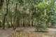Photo - 1945 Springbrook Road, Springbrook QLD 4213 - Image 25