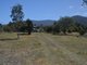 Photo - 19457 Tasman Highway, Seymour TAS 7215 - Image 21