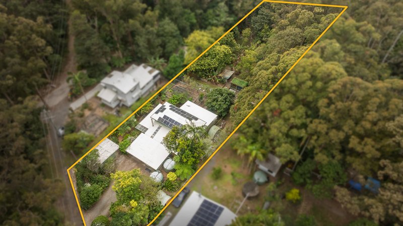 Photo - 1947 Springbrook Road, Springbrook QLD 4213 - Image 1