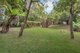 Photo - 1947 Springbrook Road, Springbrook QLD 4213 - Image 8