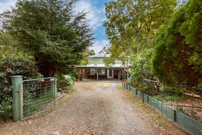 Photo - 1947 Springbrook Road, Springbrook QLD 4213 - Image 16