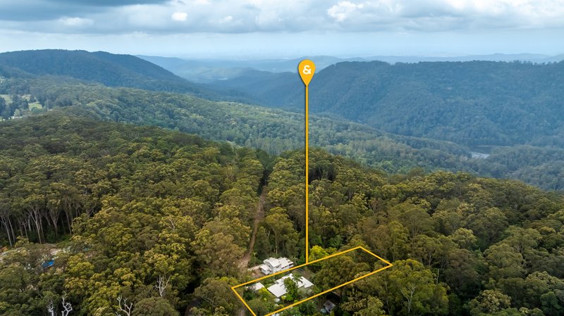 Photo - 1947 Springbrook Road, Springbrook QLD 4213 - Image 19